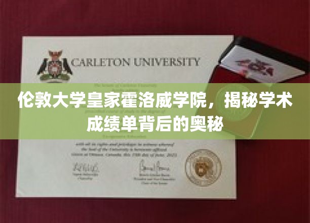 解码伦敦大学皇家霍洛威学院成绩单的秘密