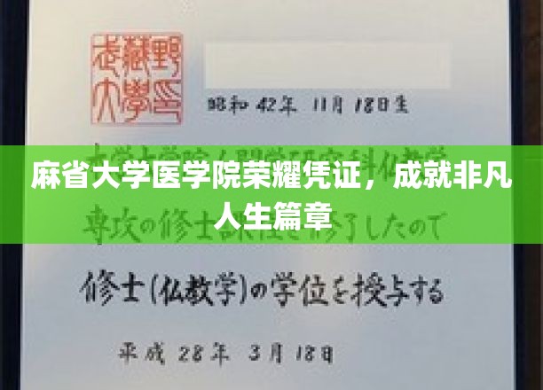 麻省大学医学院荣耀凭证，成就非凡人生篇章