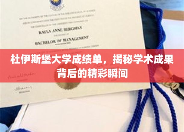 杜伊斯堡大学成绩单背后，探寻学术成就的璀璨瞬间