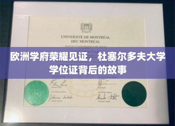 杜塞传奇，揭开杜塞尔多夫大学学位证书的荣耀篇章