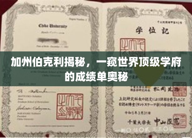 解码加州伯克利，揭秘全球顶尖学府的辉煌成就之路