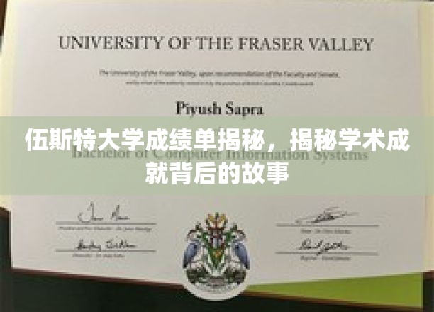 探秘伍斯特大学，揭开成绩单背后的辉煌学术篇章