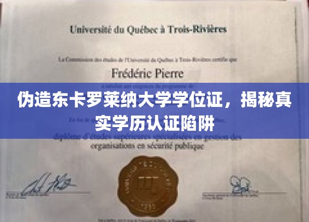 学历认证陷阱大揭秘，伪造学位证背后的东卡罗莱纳大学风波