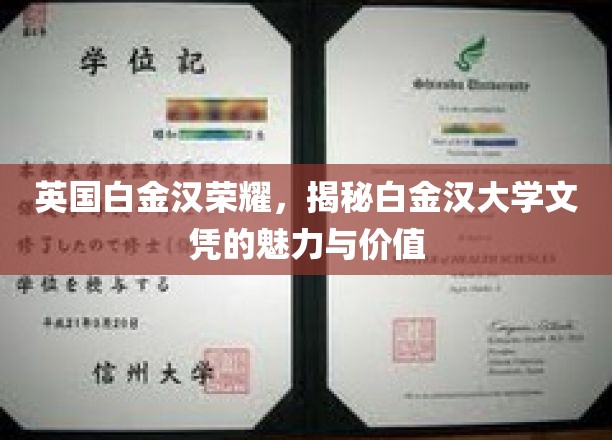 白金汉荣耀揭秘，探究英国顶尖大学的文凭奥秘