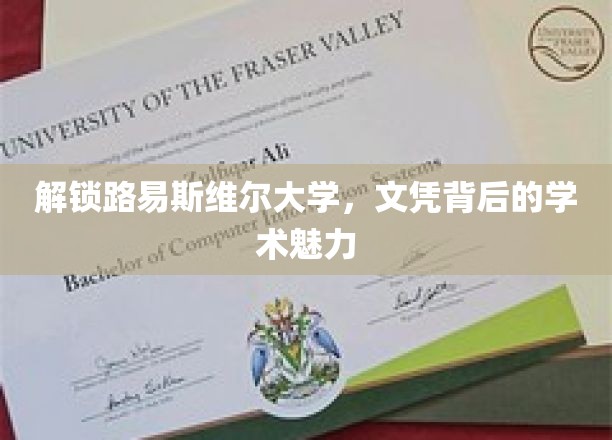 解锁路易斯维尔大学，文凭背后的学术魅力