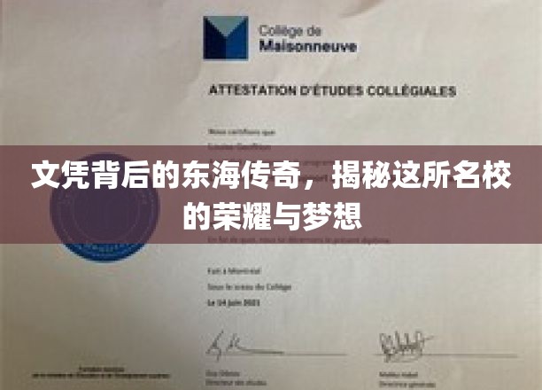 东海名校风云录，探寻文凭背后的荣耀篇章