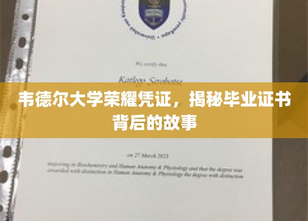 韦德尔大学荣耀见证，一纸证书，映照毕业故事千千结