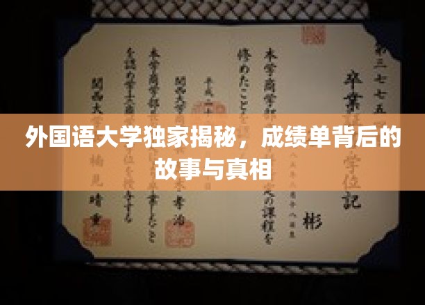 外国语大学独家揭秘：成绩单背后的故事与真相