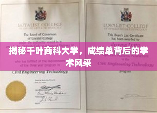 探寻千叶商科大学，成绩单映照下的学术璀璨之光