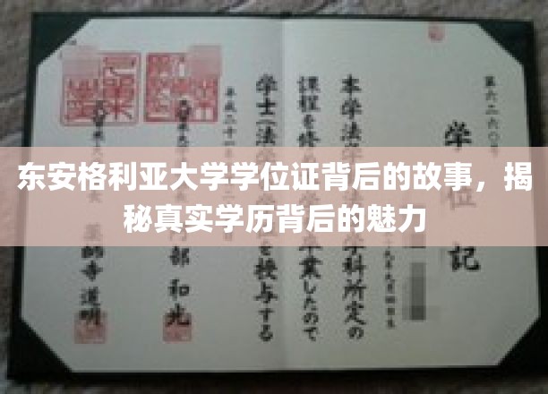 东安格利亚大学学位证，探寻学历背后的独特魅力之旅