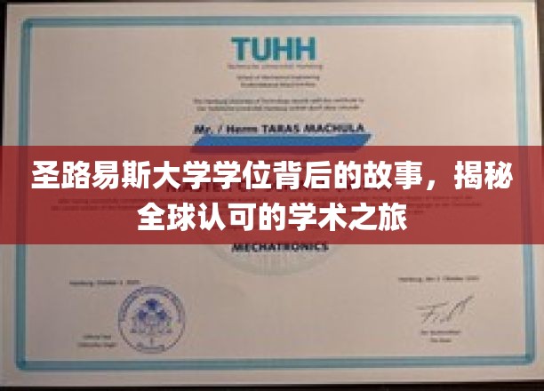 穿越圣路易斯，探索全球视野下的学位传奇之旅