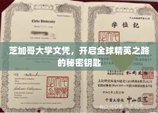 芝加哥大学文凭，解锁全球精英生涯的金钥匙