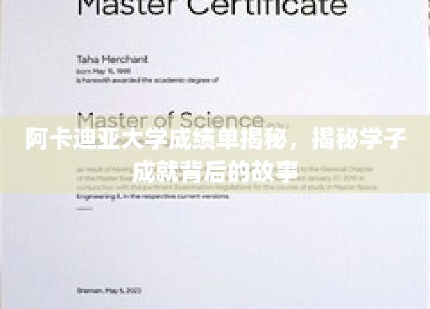 阿卡迪亚学霸养成记，揭秘校园里的辉煌成就背后故事