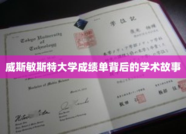解码威斯敏斯特，揭开成绩单背后的学术传奇