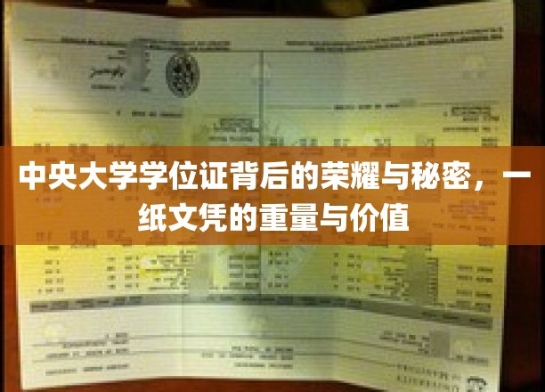 中央大学学位证背后的荣耀与秘密，一纸文凭的重量与价值