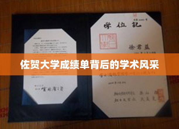 探寻佐贺大学成绩单背后的学术魅力之光