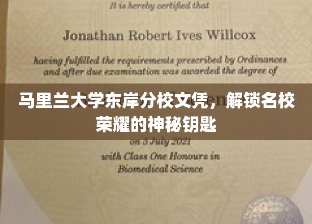马里兰大学东岸分校文凭，开启名校荣耀之门的钥匙