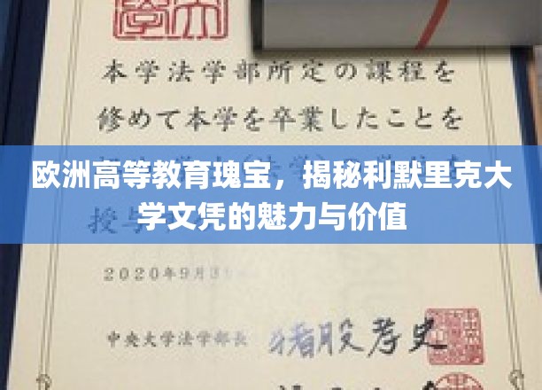 探寻利默里克大学，欧洲教育高地中的璀璨文凭之谜