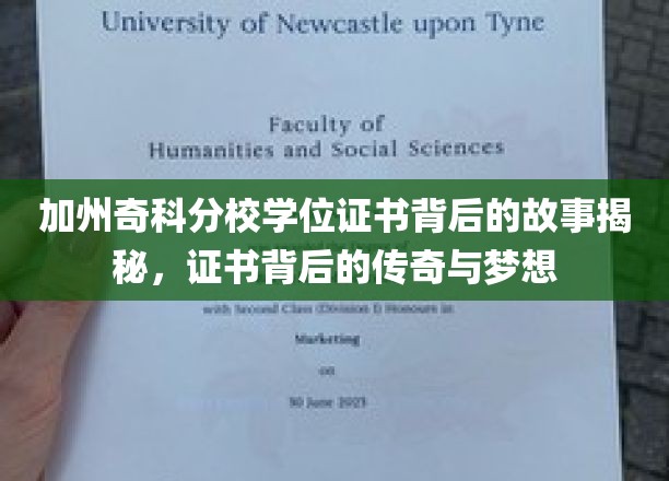 解码加州奇科分校，学位证书背后的传奇之旅