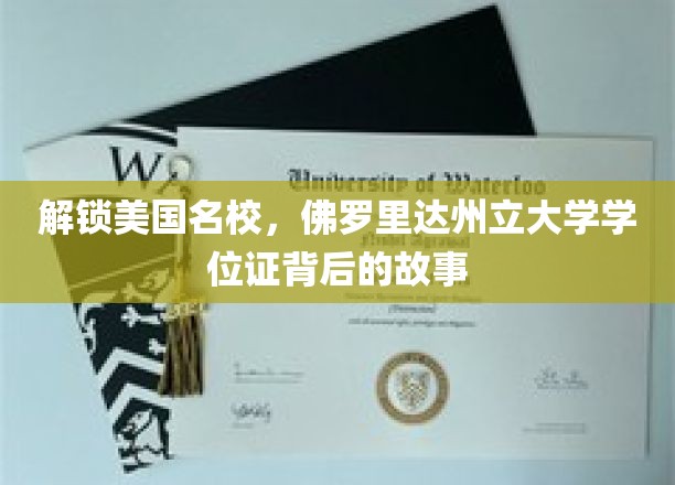探索美国名校，佛罗里达州立大学学位证背后的故事