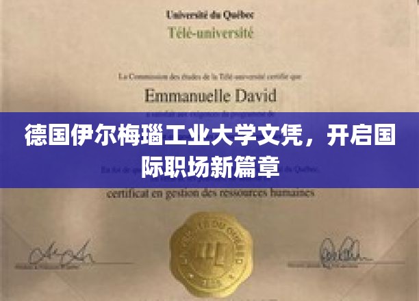 跨国就业新起点，德国伊尔梅瑙工业大学文凭助力职场飞跃