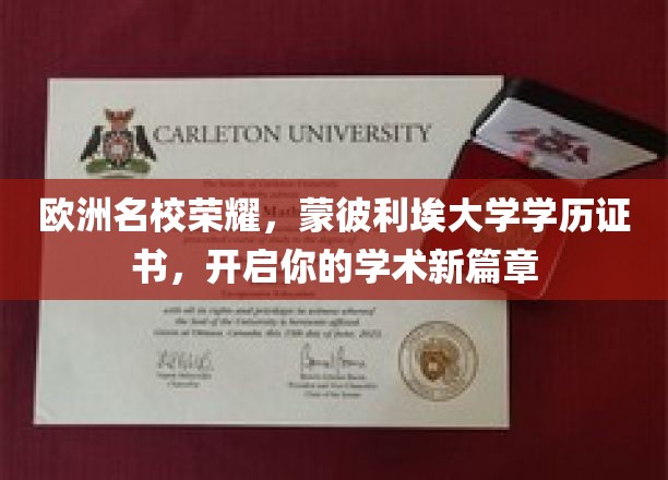 欧洲学府之光，蒙彼利埃大学证书，助你踏上学术巅峰之旅