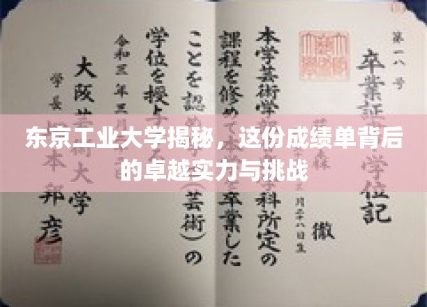 东京工业大学揭秘：这份成绩单背后的卓越实力与挑战