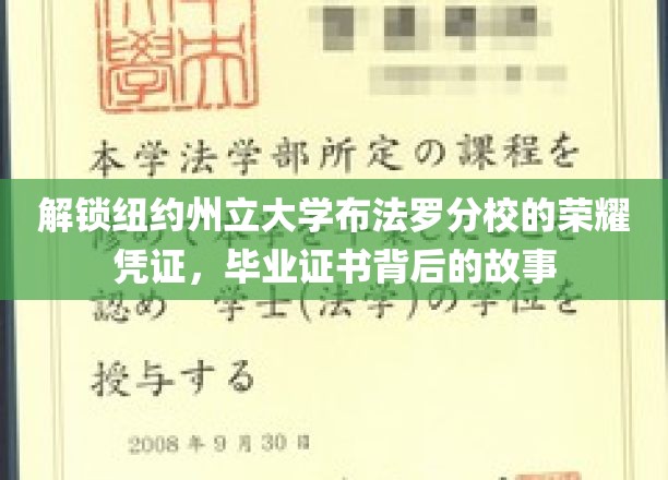 探寻纽约州立大学布法罗分校毕业证书中的传奇印记