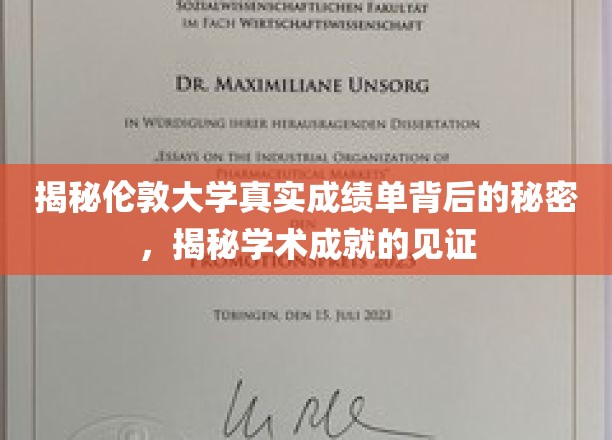 揭秘伦敦大学真实成绩单背后的秘密,揭秘学术成就的见证