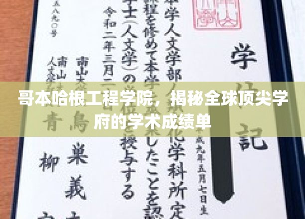 哥本哈根工程学院，揭秘全球顶尖学府的学术成绩单