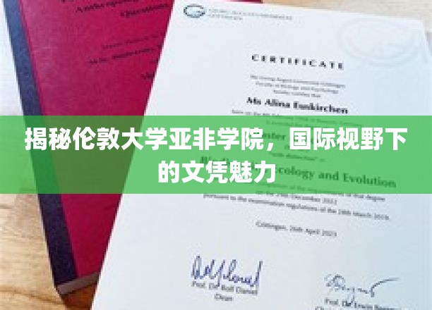 揭秘伦敦大学亚非学院，国际视野下的文凭魅力