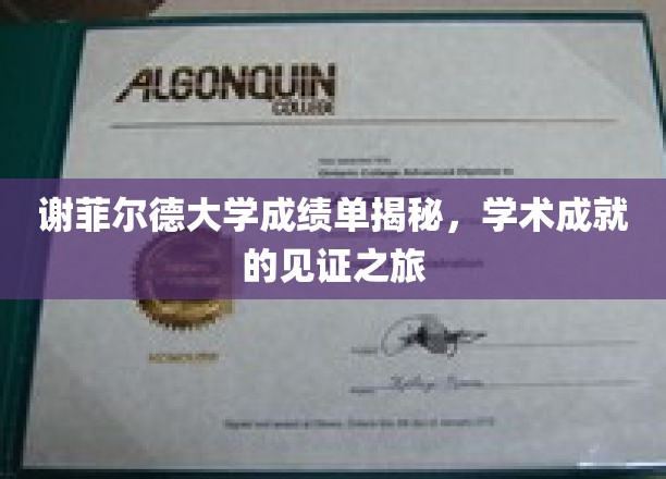 解码谢菲尔德荣耀，成绩单背后的学术传奇