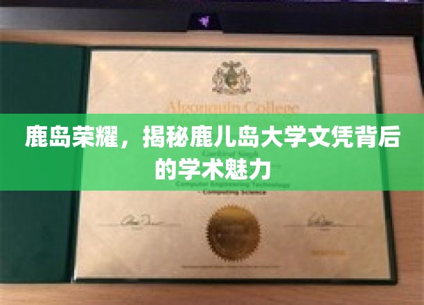 鹿岛之光，探秘鹿儿岛大学文凭的学术风采
