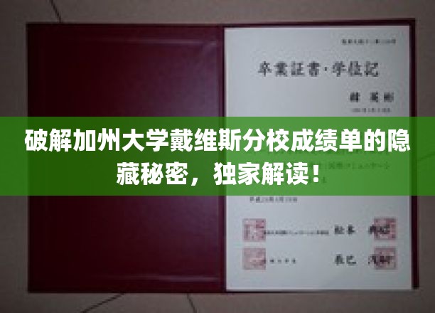 解码戴维斯分校成绩单密码，揭秘学霸成长之路