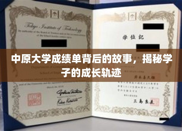 成绩单背后的青春足迹，中原大学学子成长轨迹大揭秘