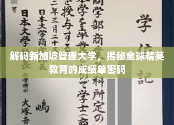 新加坡管理大学，解码全球精英教育的高分秘籍