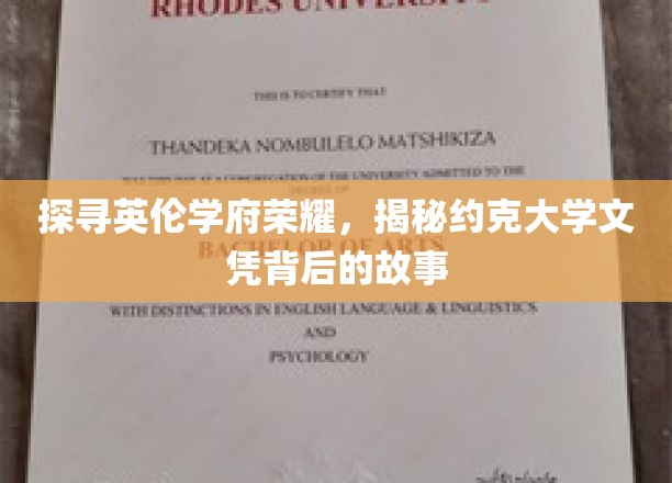揭秘约克大学，名校荣耀背后的独特魅力