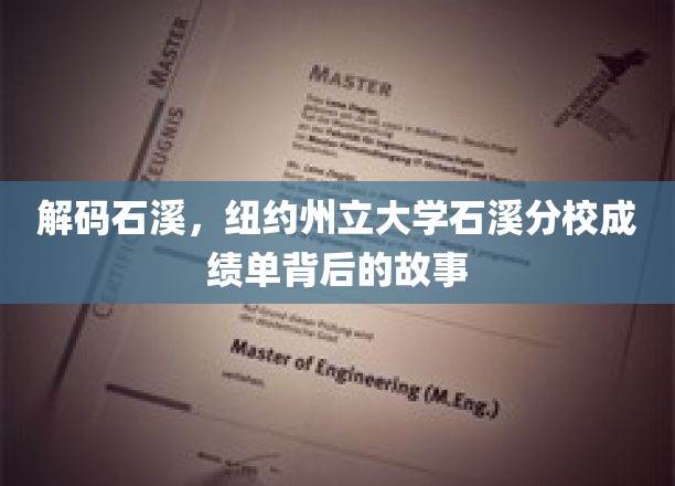 石溪传奇，揭秘纽约州立大学石溪分校成绩单的秘密面纱