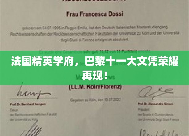 巴黎十一大，再掀学术风潮，精英学府荣耀文凭引瞩目