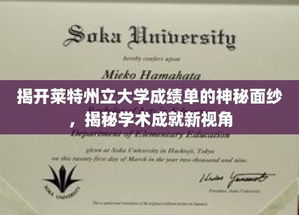 揭开莱特州立大学成绩单的神秘面纱，揭秘学术成就新视角