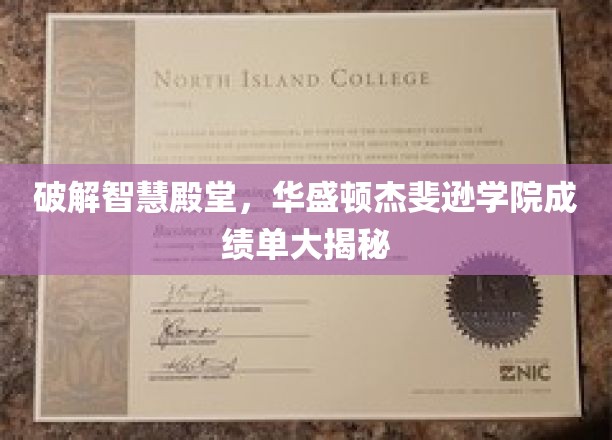 解码智慧之门，华盛顿杰斐逊学院成绩单背后的秘密面纱