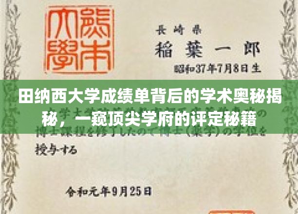 探寻田纳西大学成绩单的学术密码，揭秘顶尖学府的评定内幕