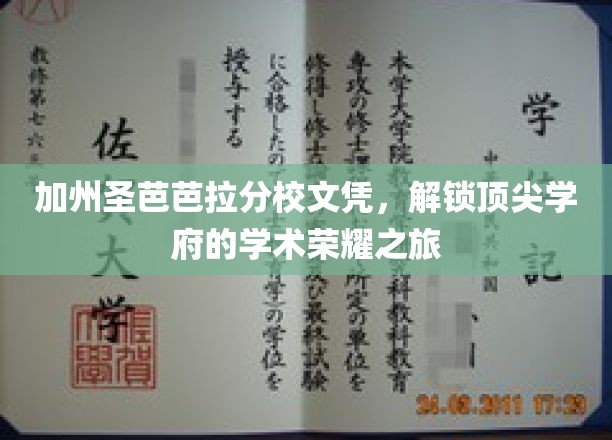 加州圣芭芭拉分校学历，开启精英学府的学术辉煌篇章