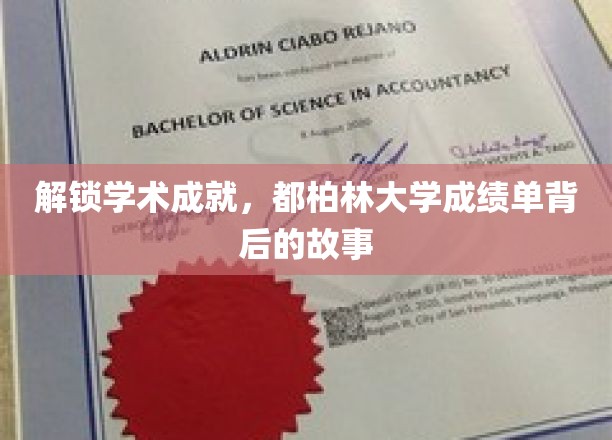 解锁学术成就，都柏林大学成绩单背后的故事