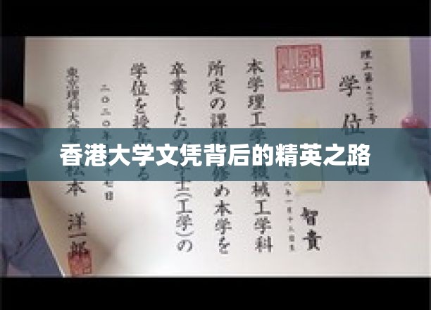 香港大学文凭，探寻塑造未来精英的璀璨之路