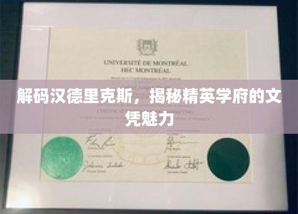 探寻汉德里克斯背后的精英学府，文凭之光闪耀何方？