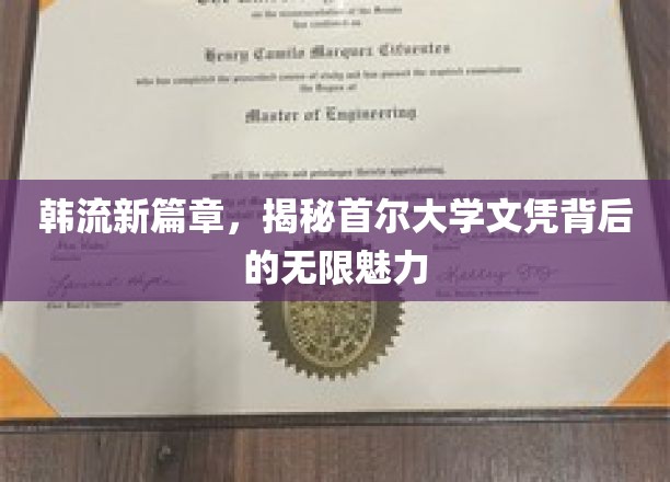 韩流新篇章，揭秘首尔大学文凭背后的无限魅力