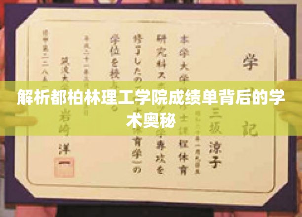 揭秘都柏林理工学院成绩单背后的学术奥秘