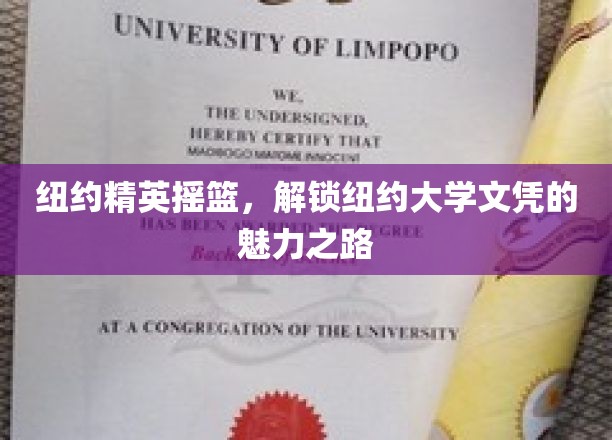 解码纽约大学，精英育成地，学位背后的璀璨光环
