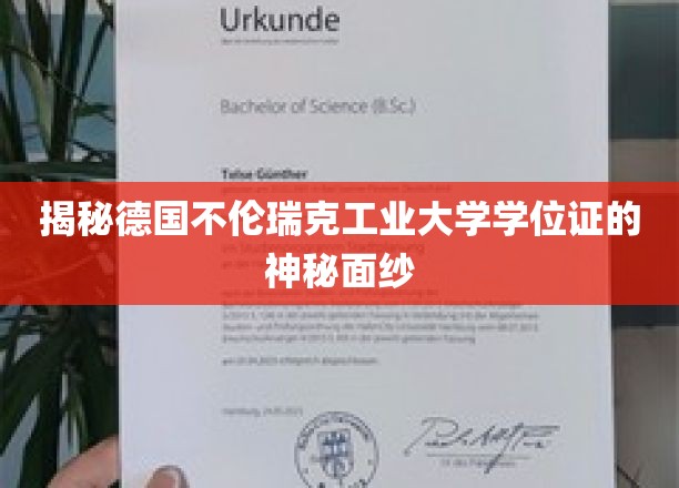 解码德国不伦瑞克工业大学学位证的独特魅力